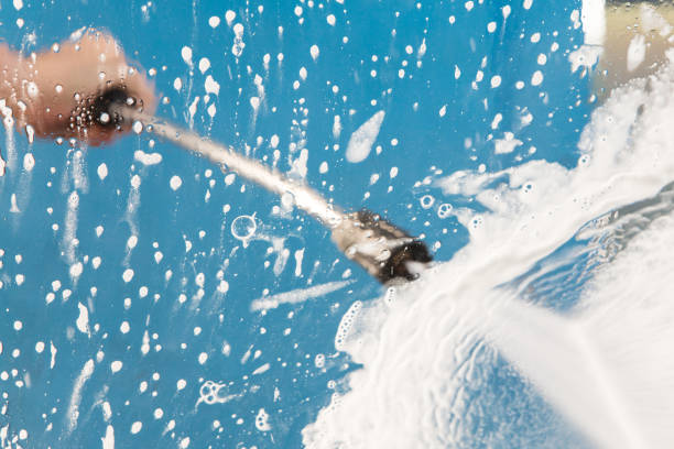 Animal Enclosure Cleaning in Anza, CA