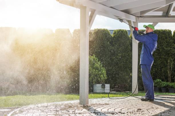 Best Gutter Cleaning  in Anza, CA