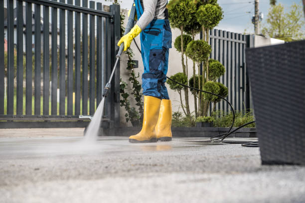 Best Dumpster Area Cleaning  in Anza, CA